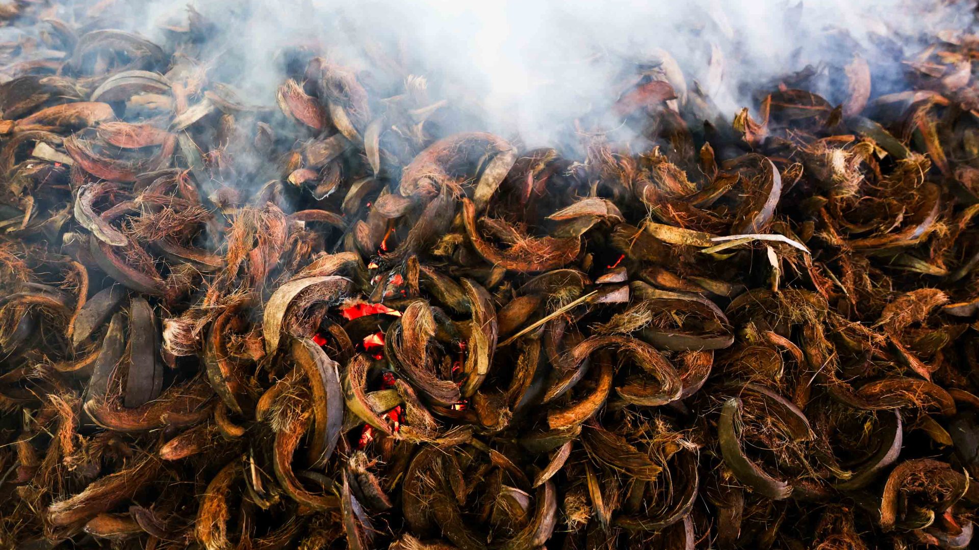 Coconut husks burn.