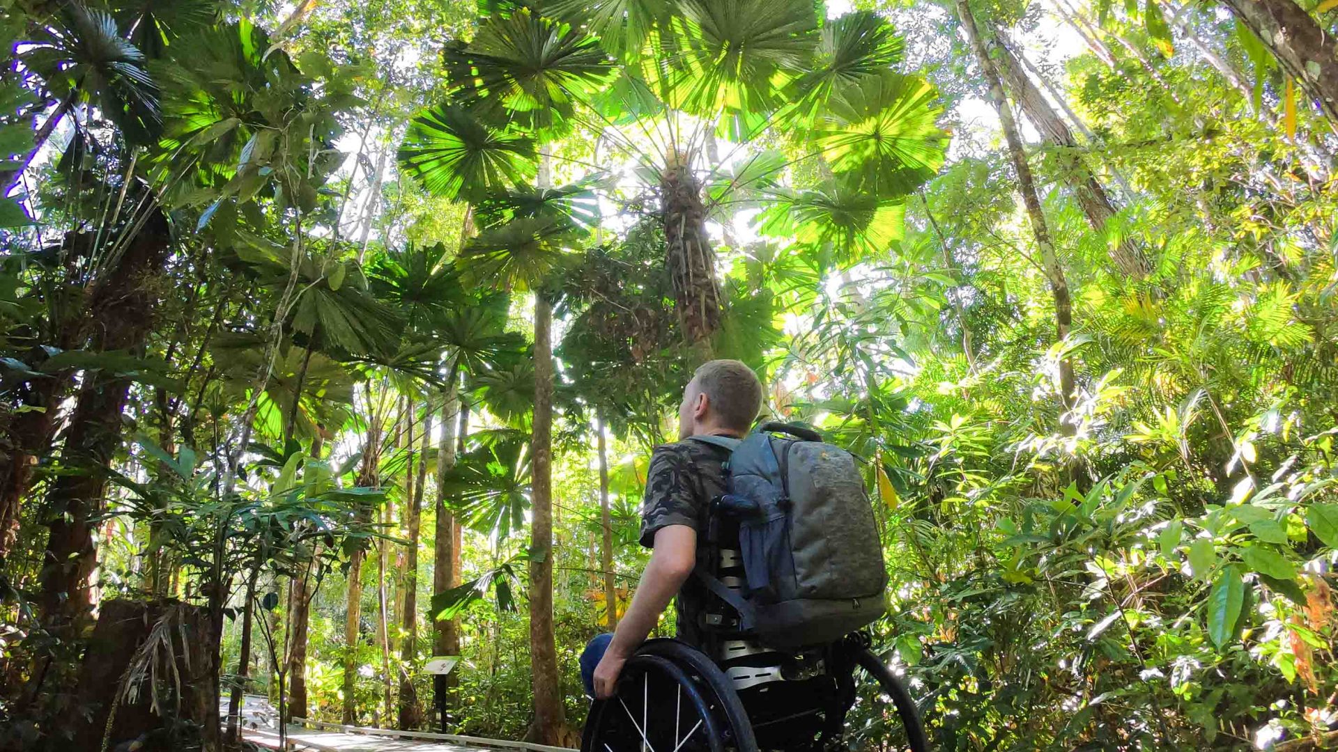 Cassowaries are cool, but there’s so much more to Queensland’s Daintree Rainforest