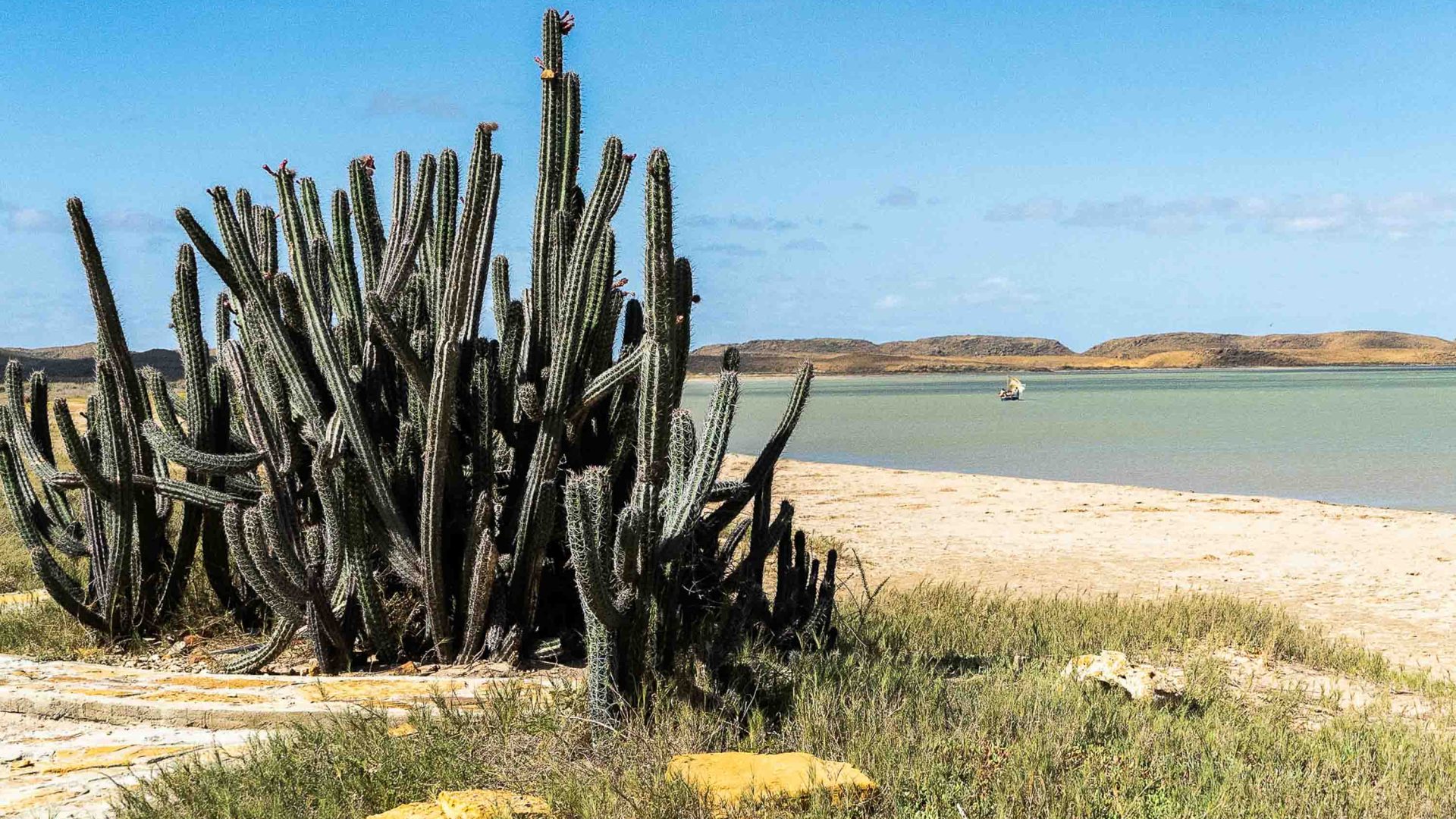 Cactus, blue lake and arid hills.