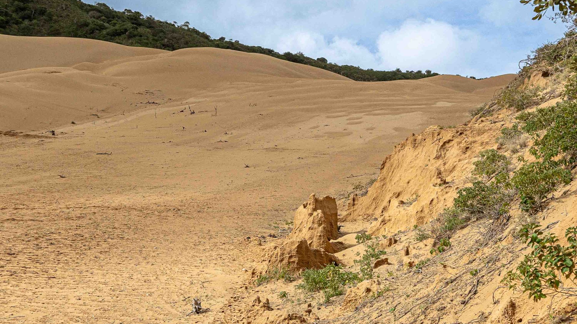 Sand dunes go off in to the distance.