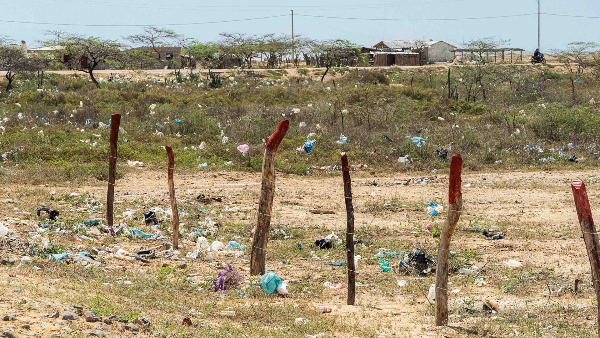 Plastic and other trash litters the landscape.