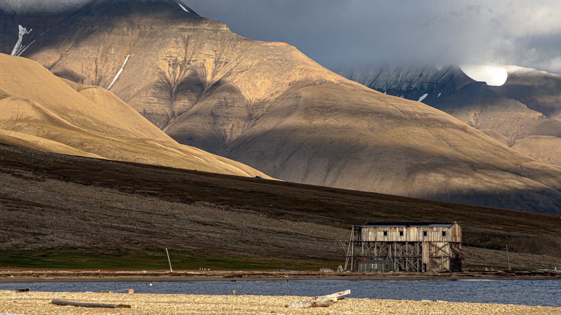 Norway just built a new town—for polar bears. Here’s what the new rewilding project means for Arctic habitats