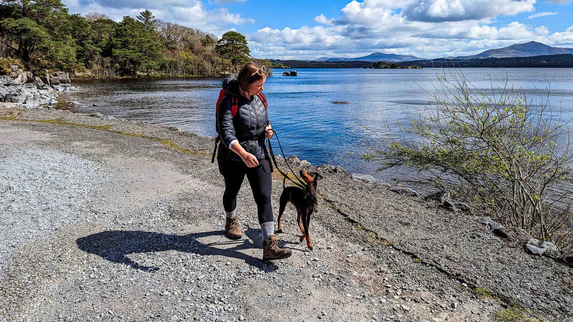 Want to travel more responsibly with your dog? Here’s how