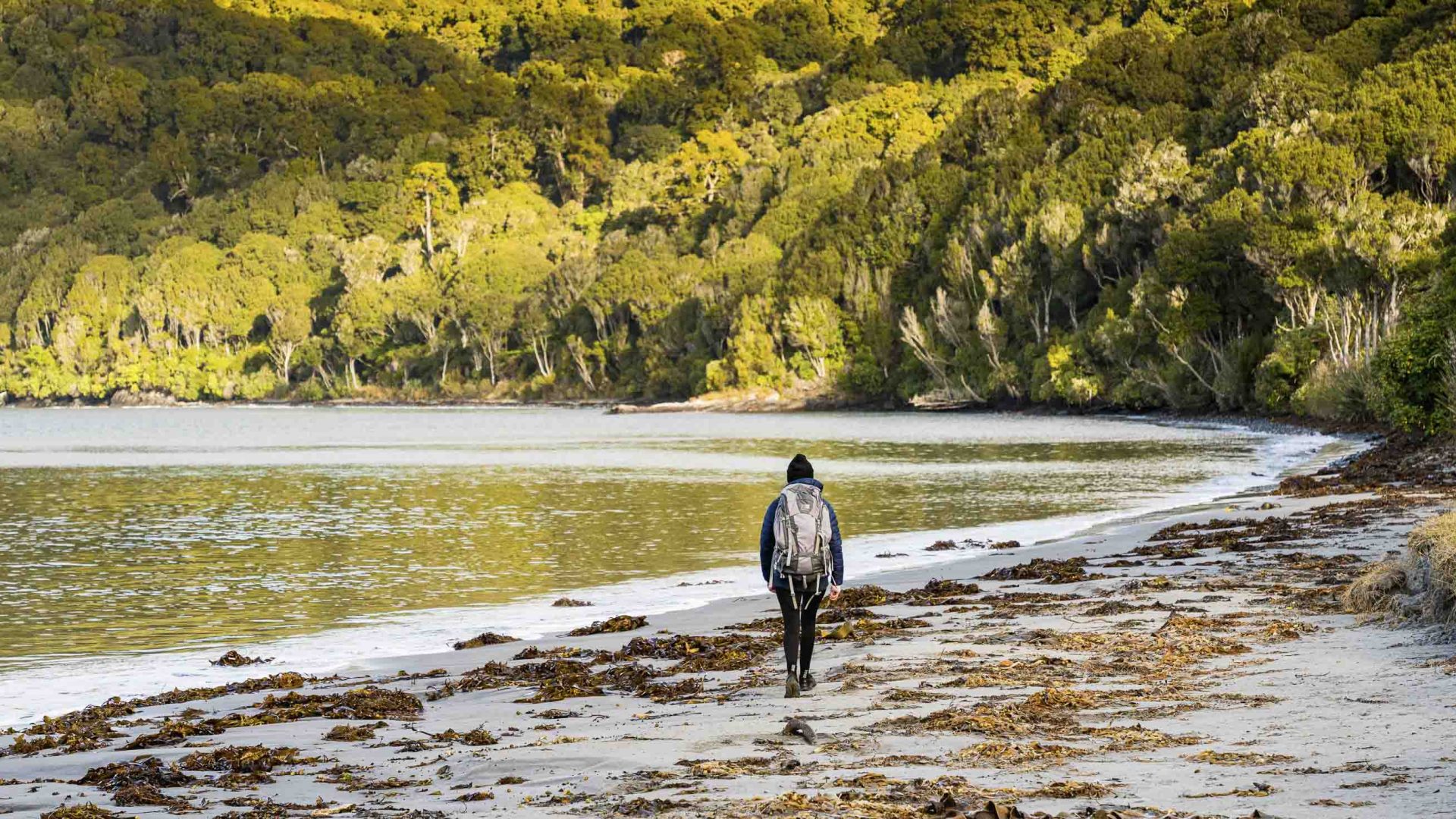 Dark skies, trivia night, wild kiwis: New Zealand’s lesser-visited ‘Great Walk’ is a bonafide must-hike