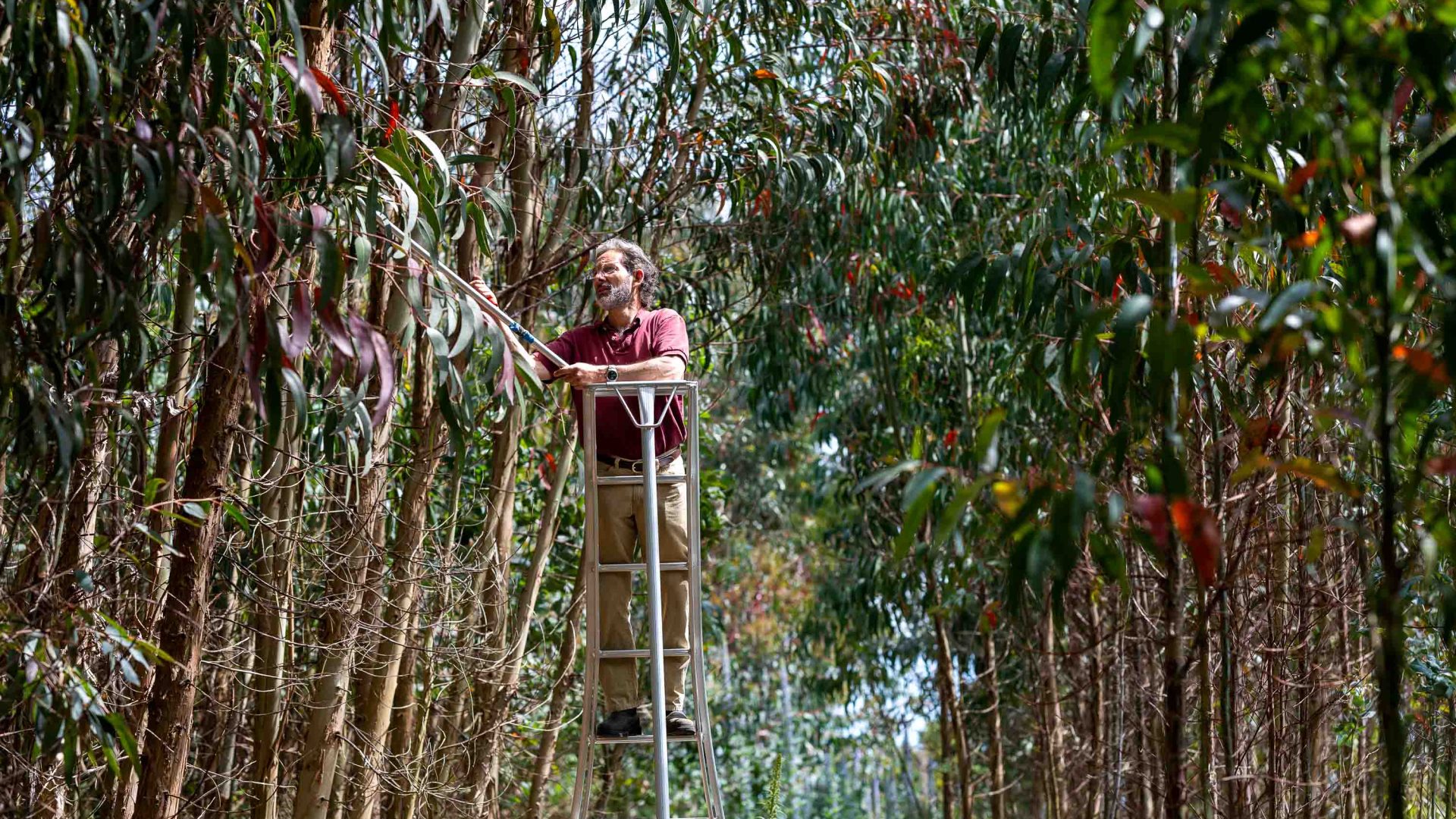 Community spirits: These Isle of Wight drink producers embrace sustainability with every sip