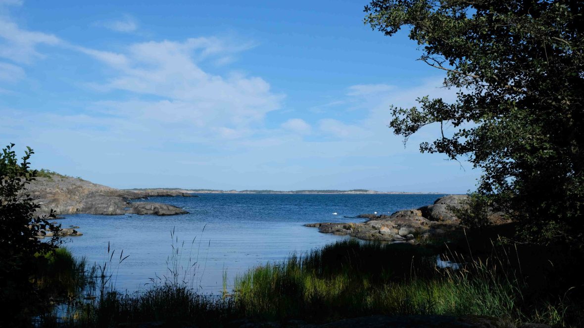 A view of a quiet cove on a sunny day with grass in the foreground and light, wispy clouds in the background.