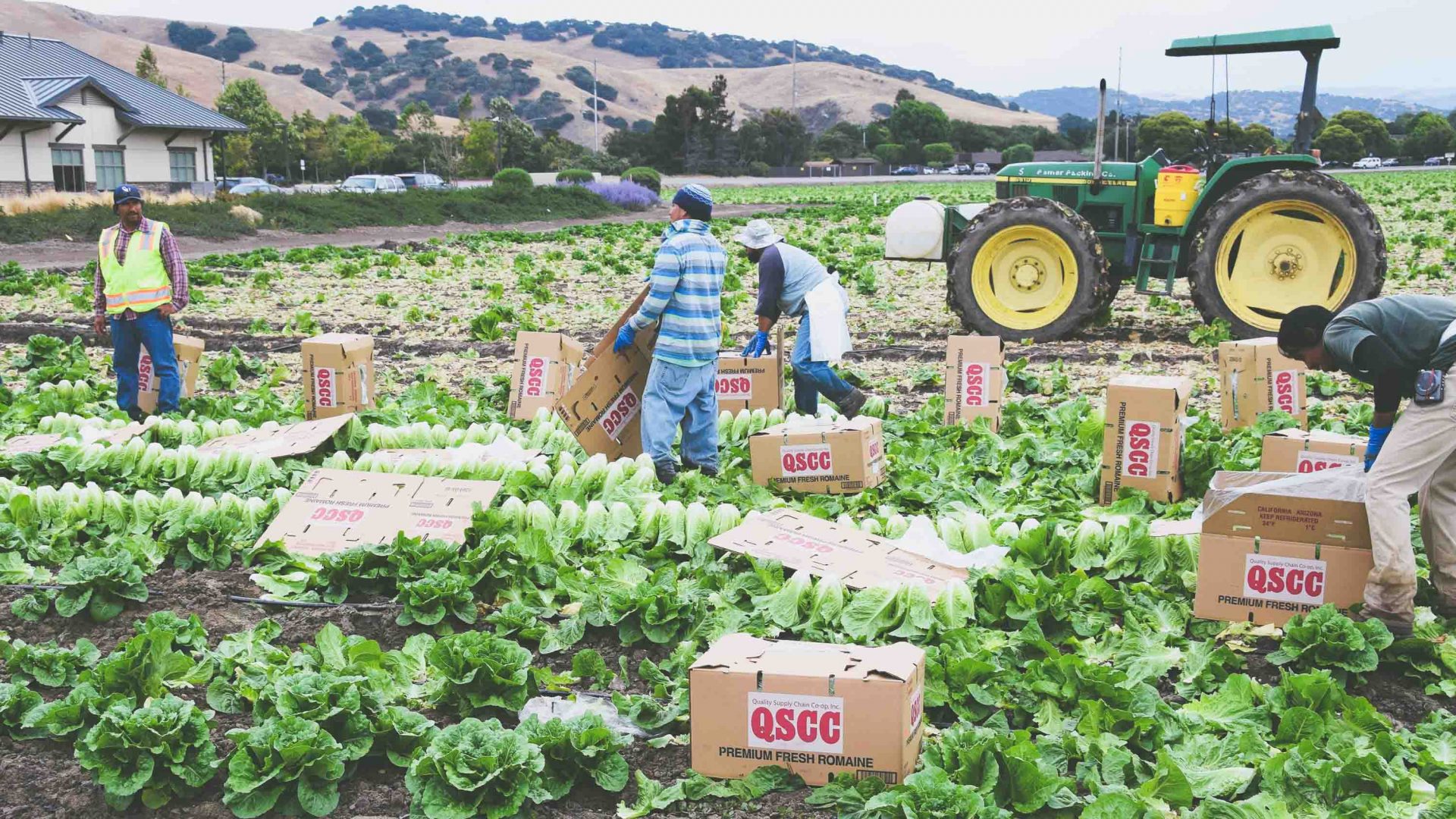 How Mexicans helped create the California you love today