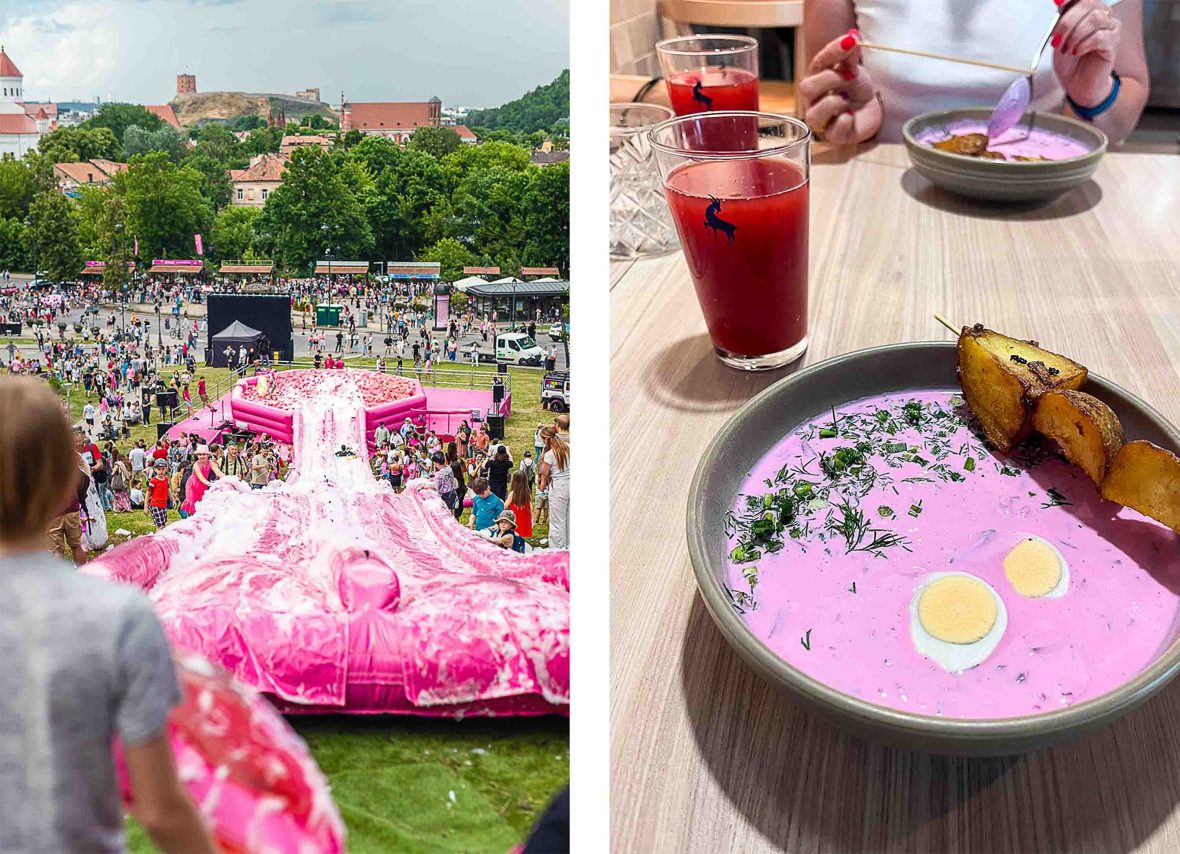 A bowl of šaltibarščiai, which is pink with an egg in it and potatoes on the side.