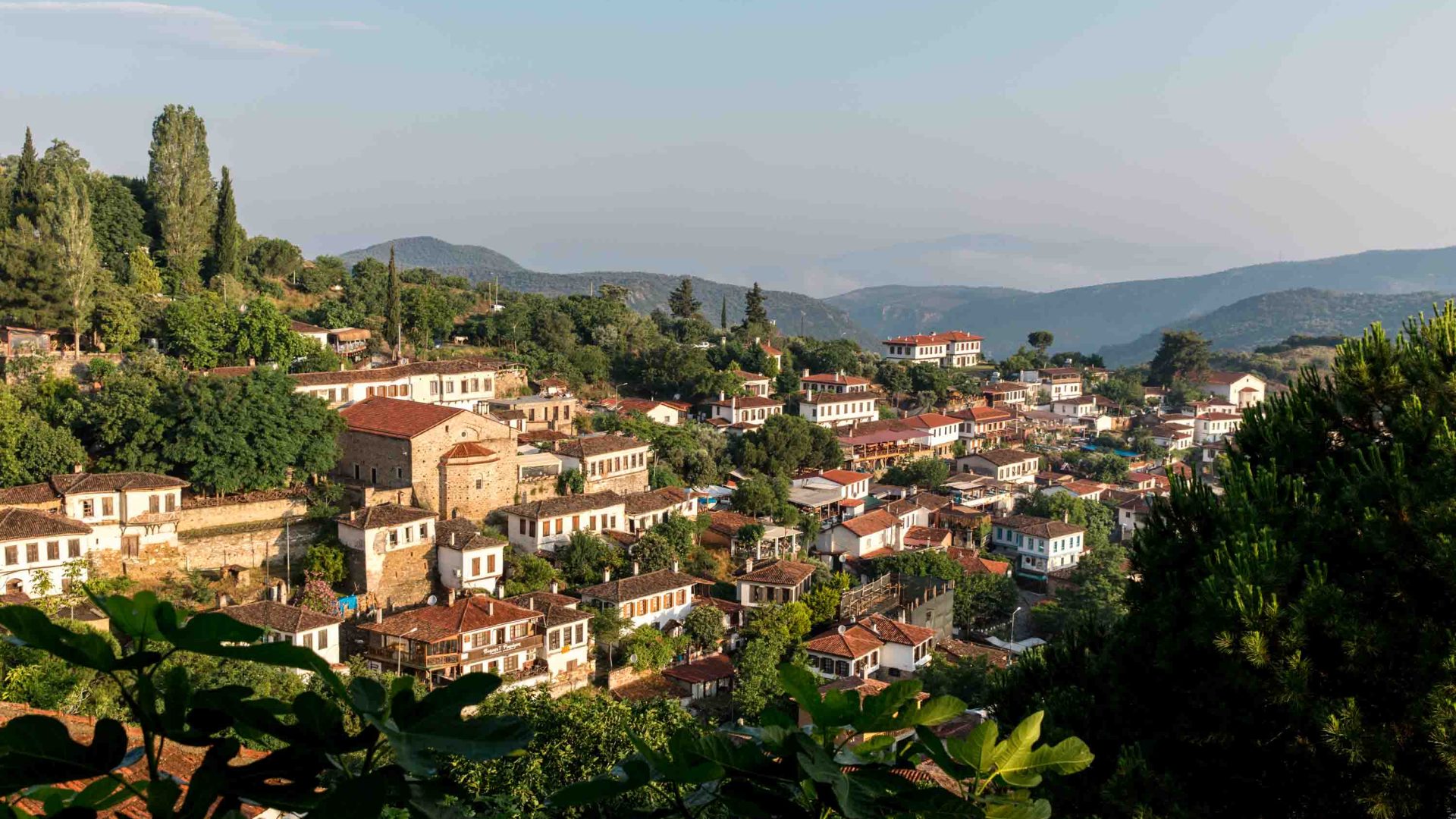 View of houses nestled amongst trees.