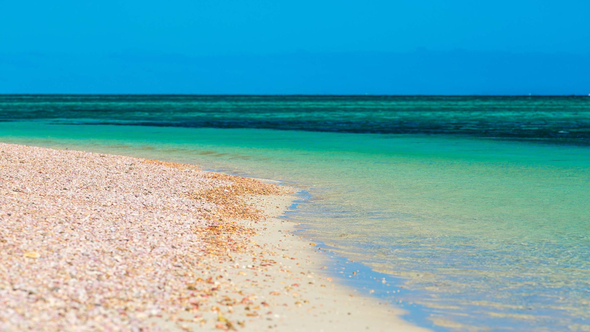 Beach near Sal Salis Ningaloo Reef with white sand and turquoise water.