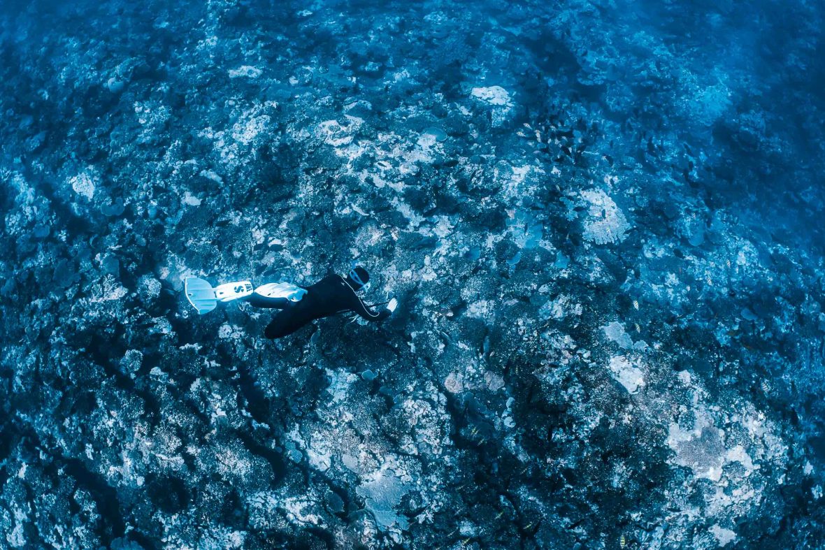 A diver looks at coral at the bottom of the sea.